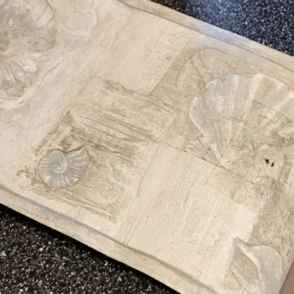 Imperial prepasted Cordinated vinyl borders wallpaper-Seashells